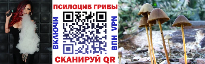 Псилоцибиновые грибы мухоморы  Зеленогорск 