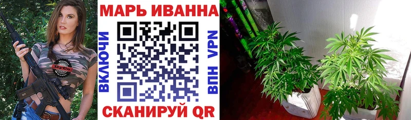 блэк спрут ссылка  даркнет сайт  Зеленогорск  Марихуана гибрид 